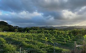 Maleka Farm: Tent Glamping North Shore Oahu