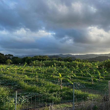 Maleka Farm: Tent Glamping North Shore Oahu Laie Exterior photo