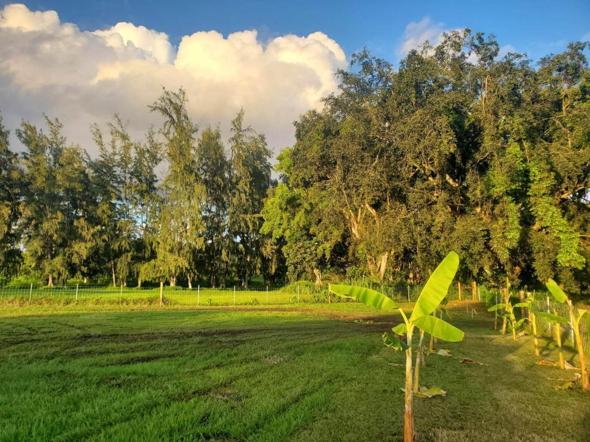 Maleka Farm: Tent Glamping North Shore Oahu Laie Exterior photo